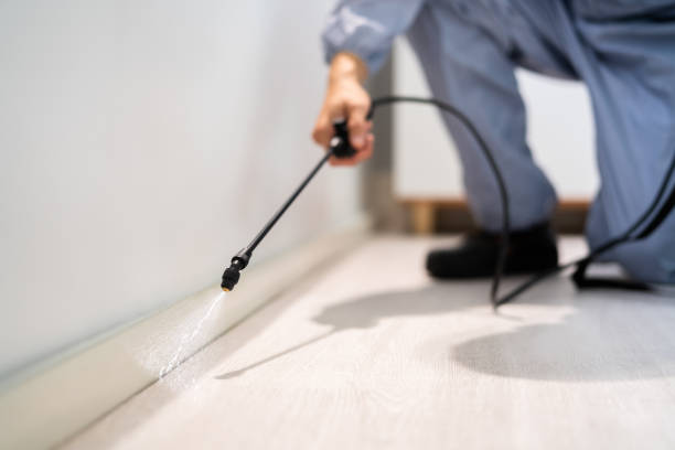 Licensed Pest Control service in Hoffman Estates, IL - Show Me Pest Control