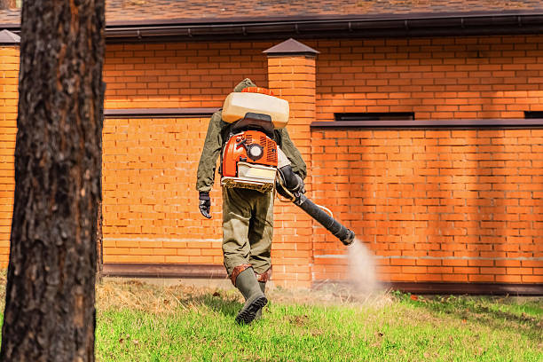 Cockroach Follow-Up and Monitoring in Hoffman Estates